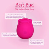 Best Bud 🌹 Rose
